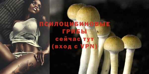 крисы Армянск