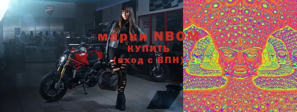 ПСИЛОЦИБИНОВЫЕ ГРИБЫ Алексин