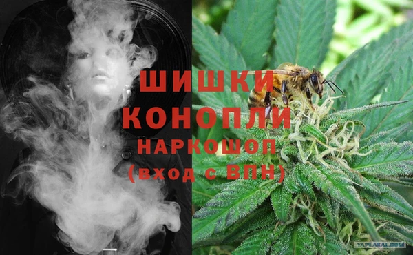 ПСИЛОЦИБИНОВЫЕ ГРИБЫ Алексин
