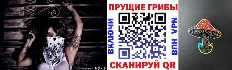 Псилоцибиновые грибы GOLDEN TEACHER  Купить  Ефремов 